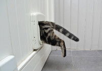 Comment installer une chatière ?