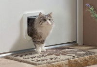 Les chatières électroniques