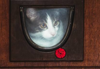 Chatière Verrouillable Pour Chat Et Chien - Grande Ouverture 21 Cm, Installation Facile Sur Porte Bois, Verre, Métal