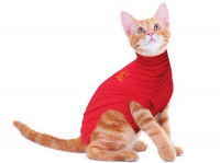Un chat roux porte un body de protection rouge
