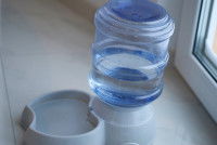 Un distributeur d'eau pour chat en plastique