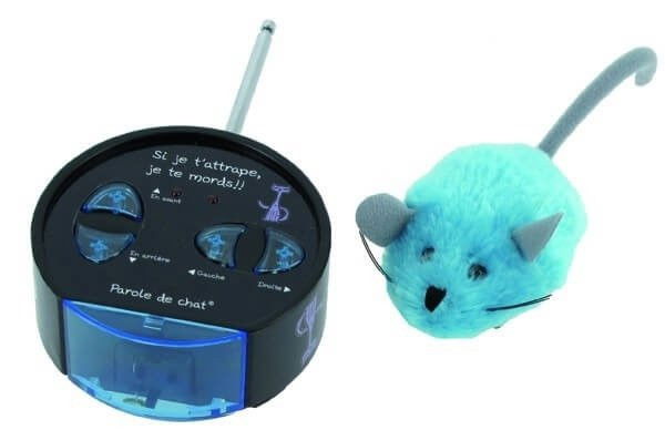 Une souris et sa télécommande pour la faire bouger
