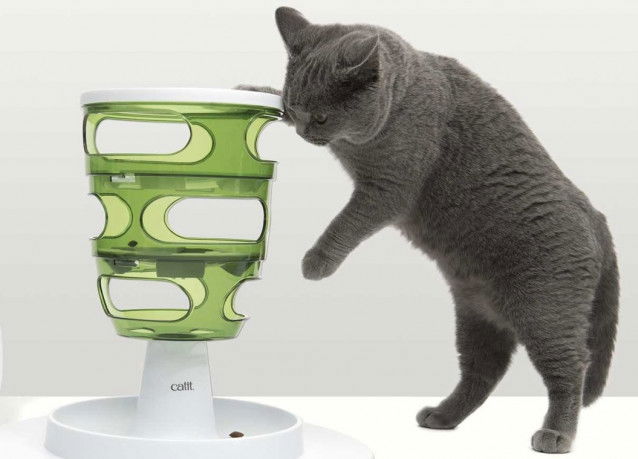 Un chat gris foncé jouant avec un distributeur à croquettes