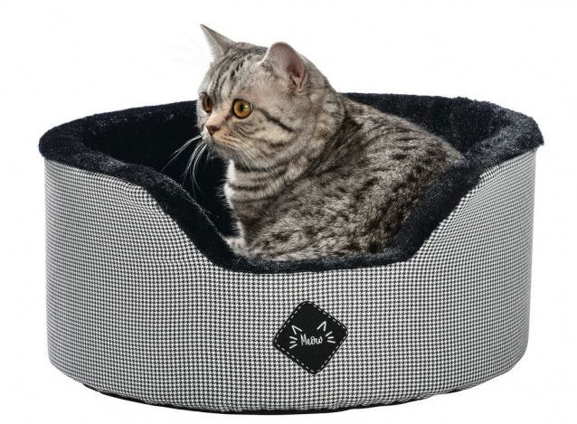 Un chat tigré couché dans son panier