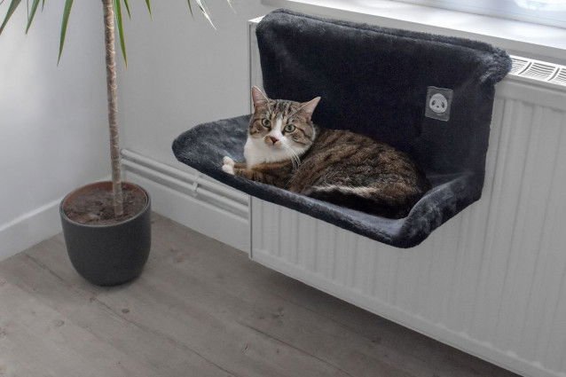 Un chat tigré couché dans un hamac pour chat