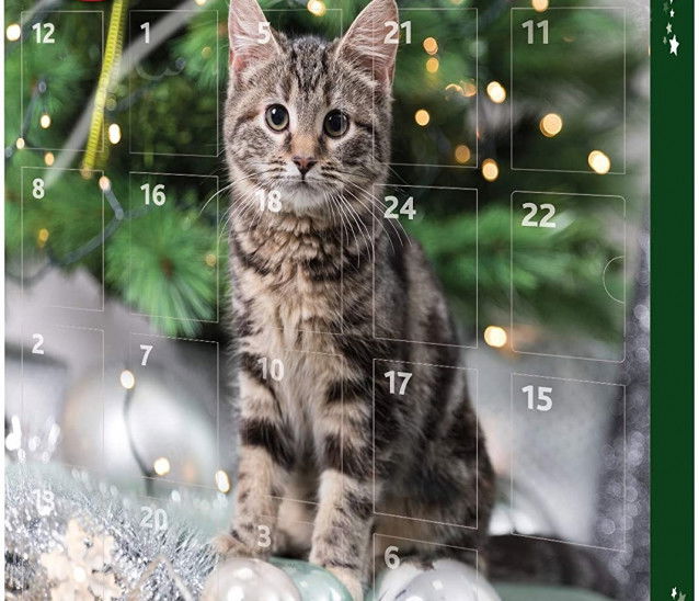 Un calendrier de l'avent avec une photo d'un petit chat tigré