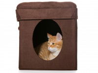 Les dômes pour chat en intérieur