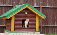Construire une niche pour chat maison
