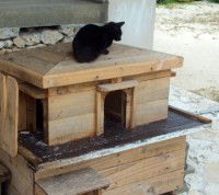 Les maisonnettes pour chat