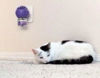 Comment se fournir et utiliser les phéromones ?