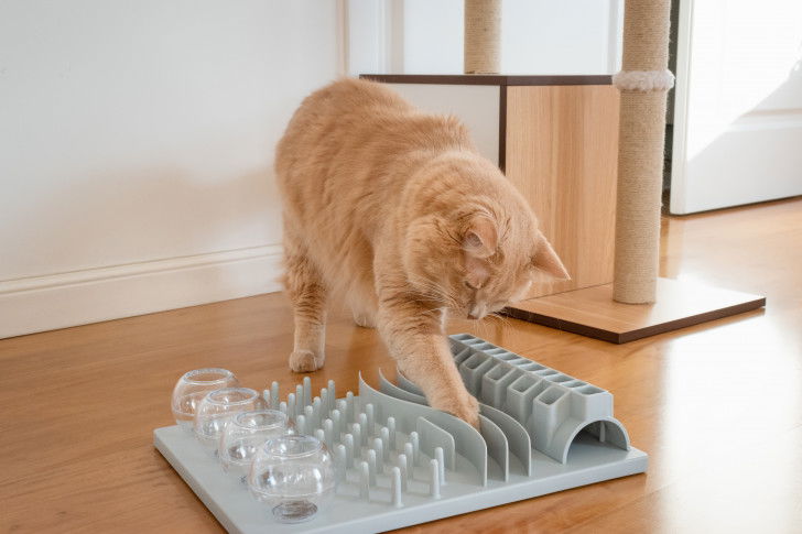 Un chat roux est en train de jouer avec un puzzle