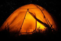 Un chat dans une tente transparente illuminée de l'intérieur sous un ciel étoilé