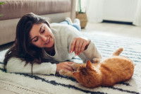Une maitresse jouant au sol avec son chat roux
