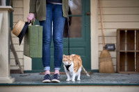 Une femme emmène son chat en promenade
