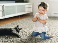 Une jeune fille joue avec un chat gris sur la moquette