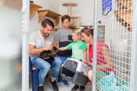 Une famille se tenant autour d'un chat dans un refuge