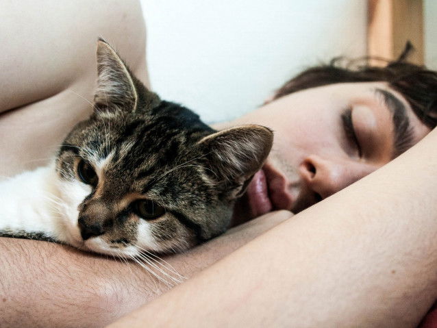 Le chat permet de passer de meilleures nuits