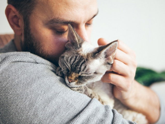 Le chat renforce les défenses immunitaires
