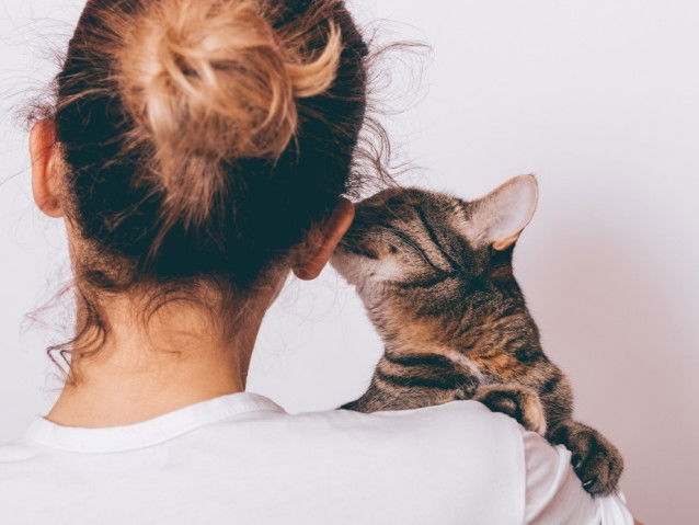 Le chat offre de l’affection