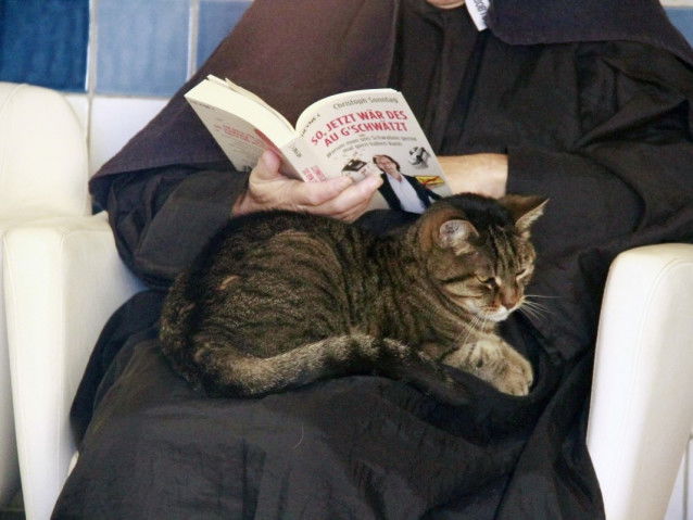 Le chat est un remède contre la solitude