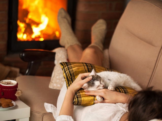Le chat aide à la relaxation