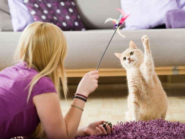 Le chat aide à se sentir occupé
