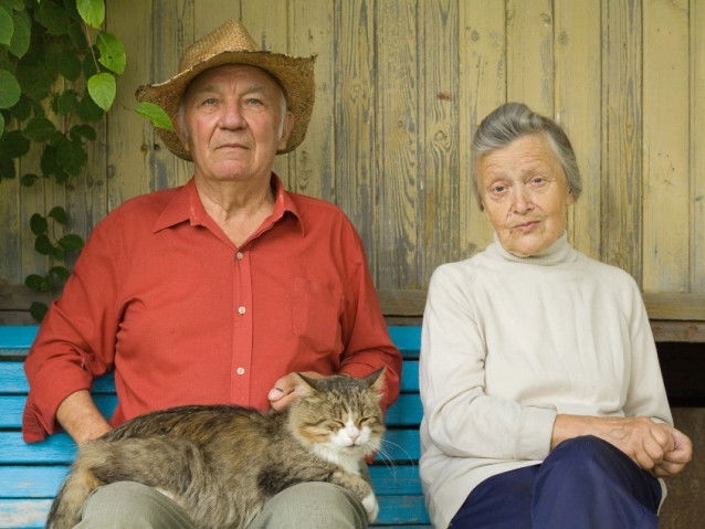 Le chat est source de stabilité