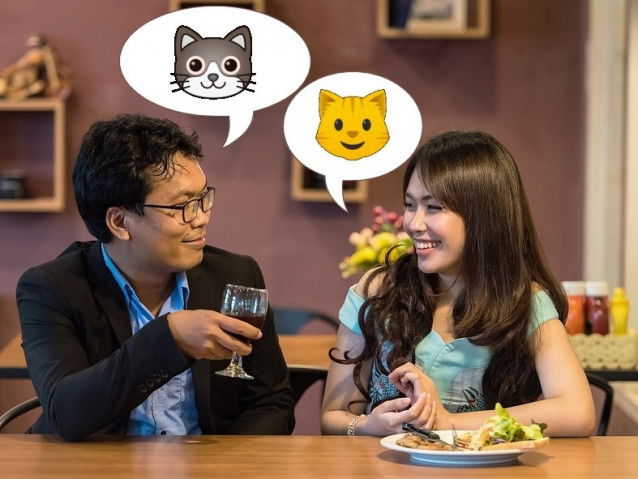 Le chat permet une ouverture au monde extérieur