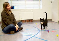 Une femme assise dans un cercle attend que son chat la rejoigne