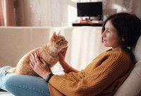 Une femme caressant son chat assis sur ses jambes