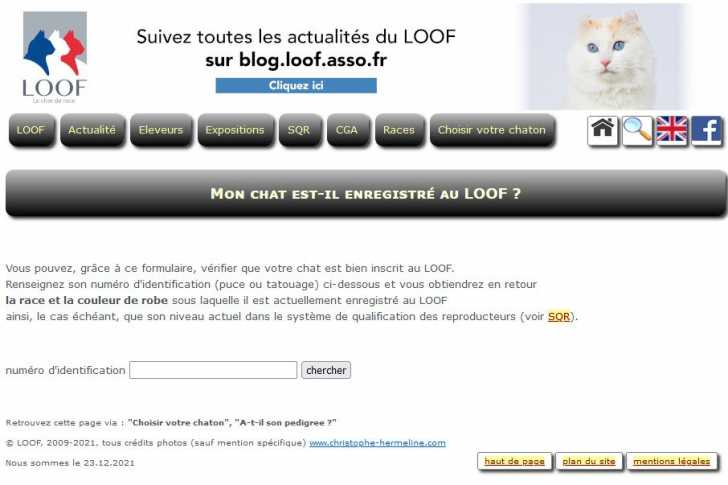 Comment Eviter Les Arnaques Dans Les Annonces De Vente Ou Don De Chat