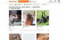 Une capture d'écran du site Le Bon Coin