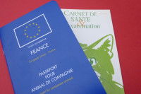 Carnet de santé et passeport d'un chat