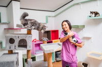 Une femme au milieu de chats dans un refuge pour chats