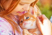 Une petite fille serre un chaton dans ses bras