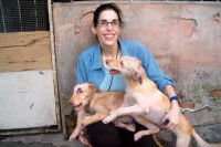 Tous les animaux de refuge sont porteurs de maladies et de bactéries