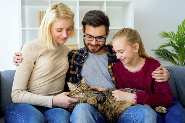 Un chat entouré de sa famille
