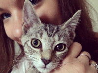 Votre mode de vie est-il compatible avec celui de votre chat ?