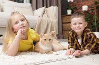 Deux enfants et un chat allongés côte à côte dans un salon