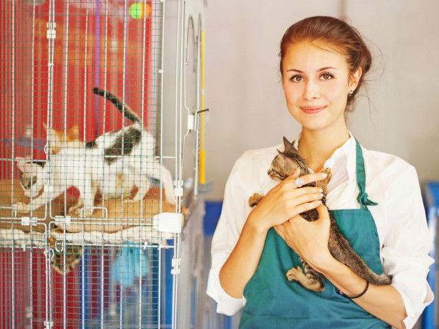 Une femme travaillant dans un refuge entourée de petits chats