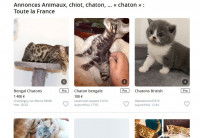 Screenshot du site Le Bon Coin