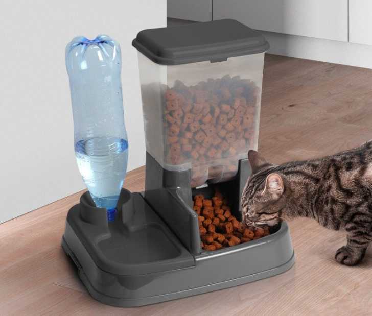 Distributeur De Nourriture Pour Chat Guide D Achat Complet