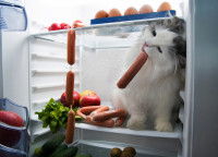 Un chat vole des saucisses dans le frigo