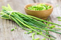 Pourquoi la ciboulette est-elle toxique pour les chats ?