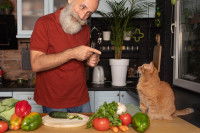 Un maitre prépare un repas végan pour son chat roux tigré