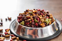 Une gamelle déborde de croquettes pour chat