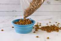 Une personne verse un sachet de croquettes dans une gamelle