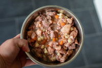 Une gamelle contenant de la pâtée pour chat