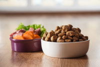 Des croquettes et de la nourriture maison dans des gamelles