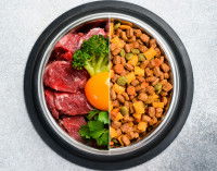 Une gamelle remplie à moitié de croquettes et de nourriture maison